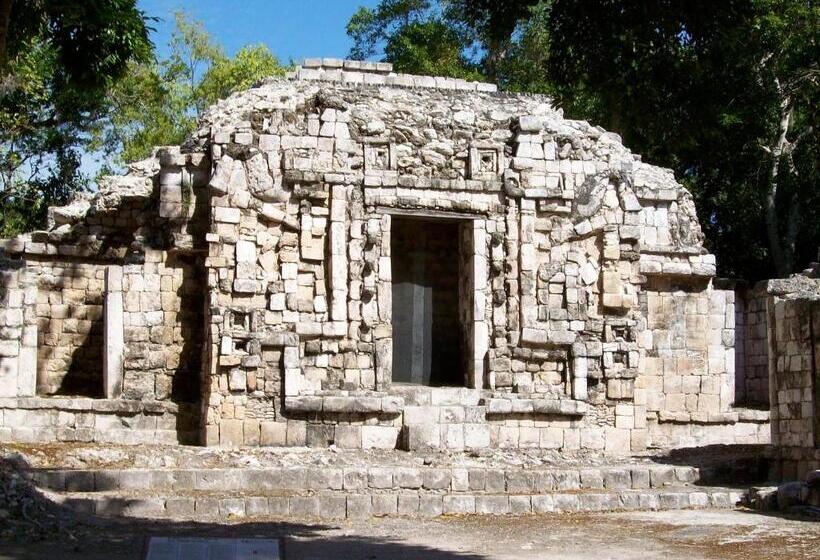 The Pickled Onion Eco Boutique B&b