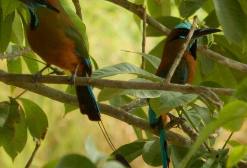 The Pickled Onion Eco Boutique B&b