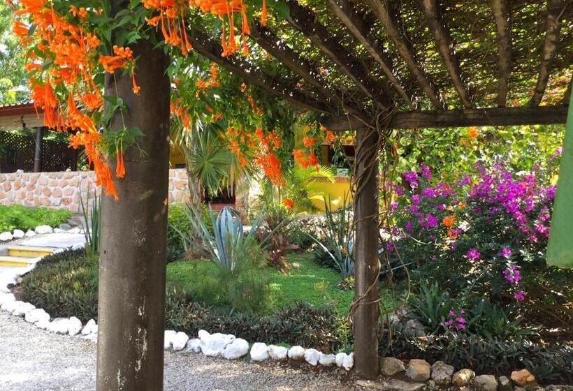 The Pickled Onion Eco Boutique B&b