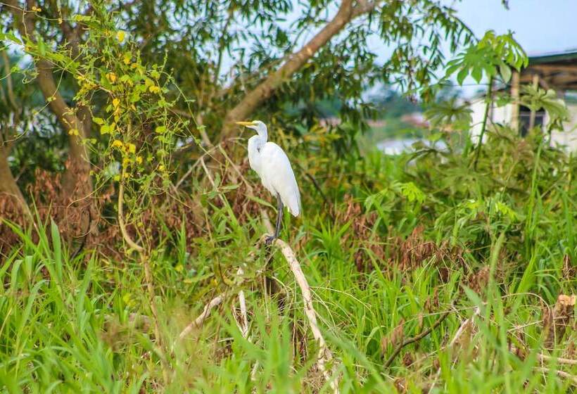 בית מלון כפרי On Vacation Amazon