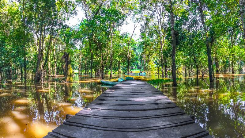 בית מלון כפרי On Vacation Amazon