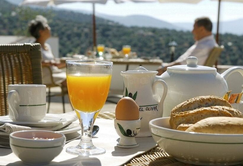 Casa Rural El Olivar B&b