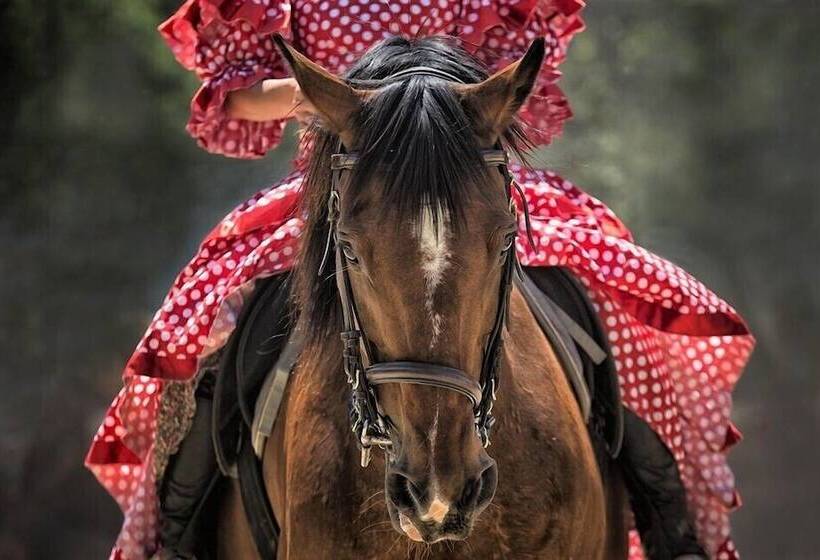 Casa Rural El Olivar B&b