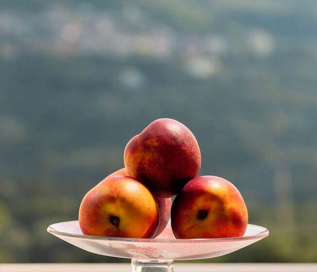 호텔 Fiorita Ionica