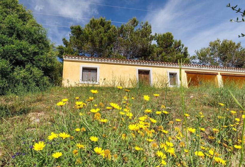Li Scalitti Residence With Swimming Pool