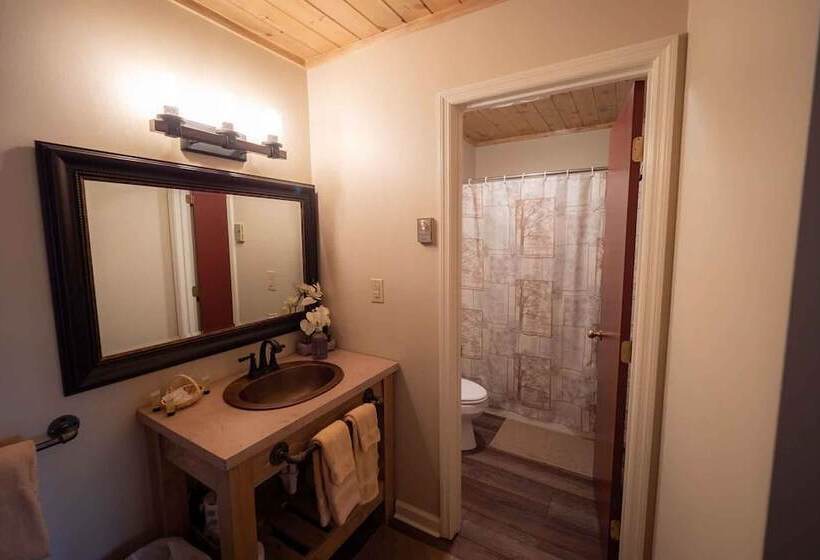 מוטל The Snowshoe Lodge