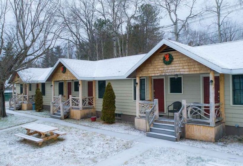 מוטל The Snowshoe Lodge