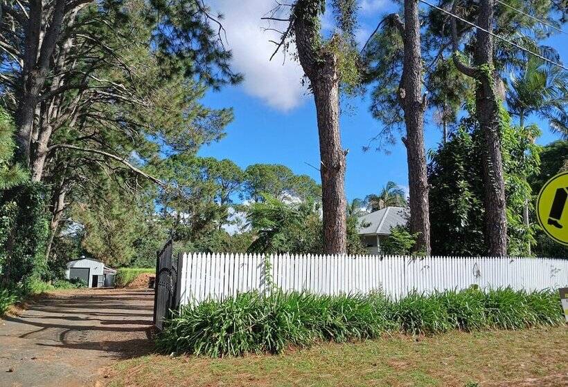 Bed and Breakfast Memory Lane Accommodation