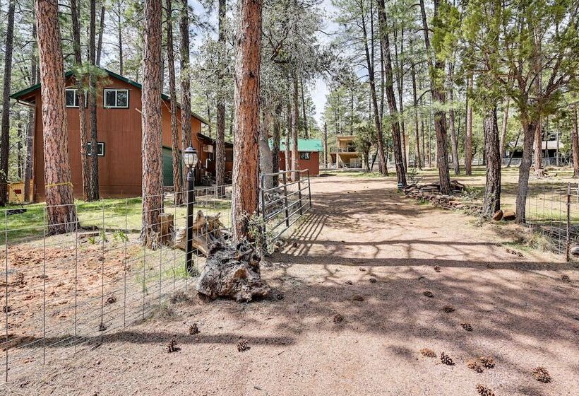 Forest Views & Fire Pit: Cozy Pine Cabin