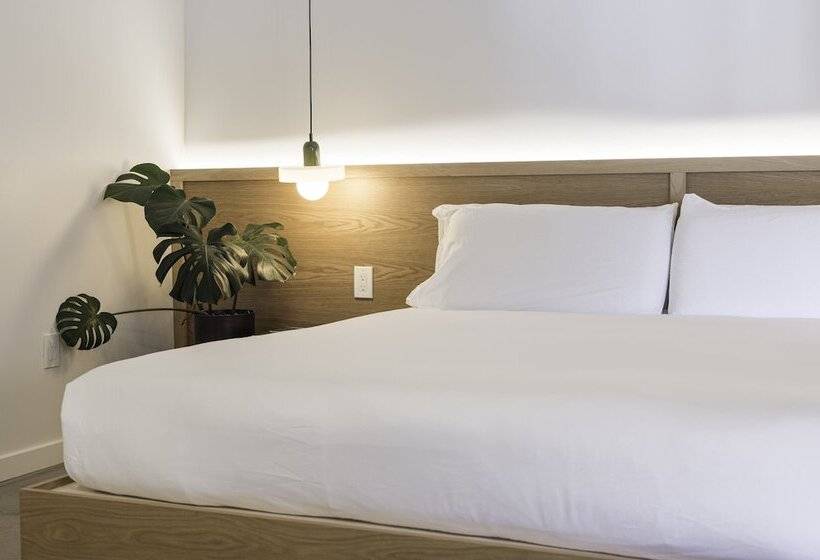 فندق Best Bet Motor Lodge