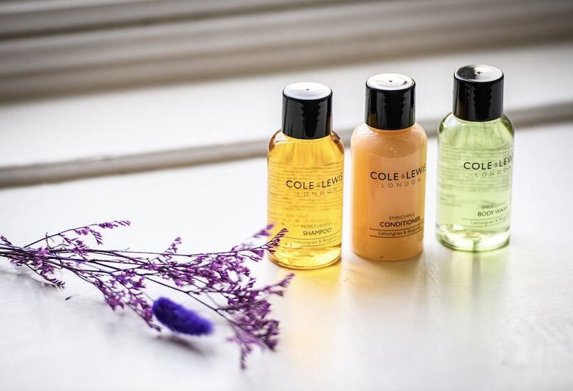 فندق Dunfallandy House