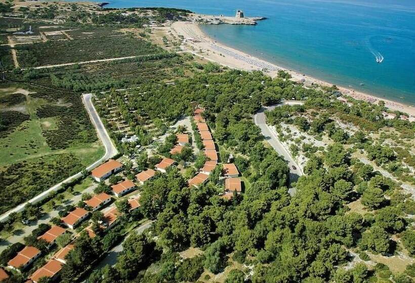 Отель Grotta Dell  Acqua