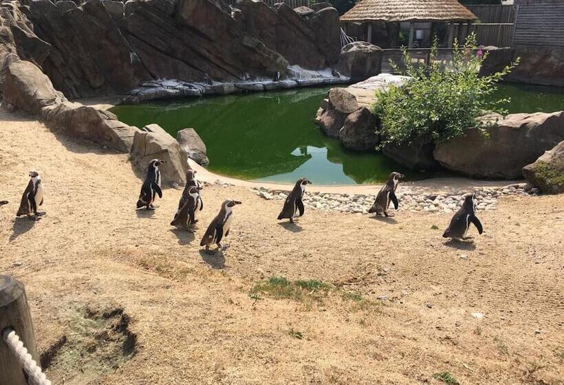 Сельский отель 1 Bed Barn Alton Towers Chatsworth Polars Peaks