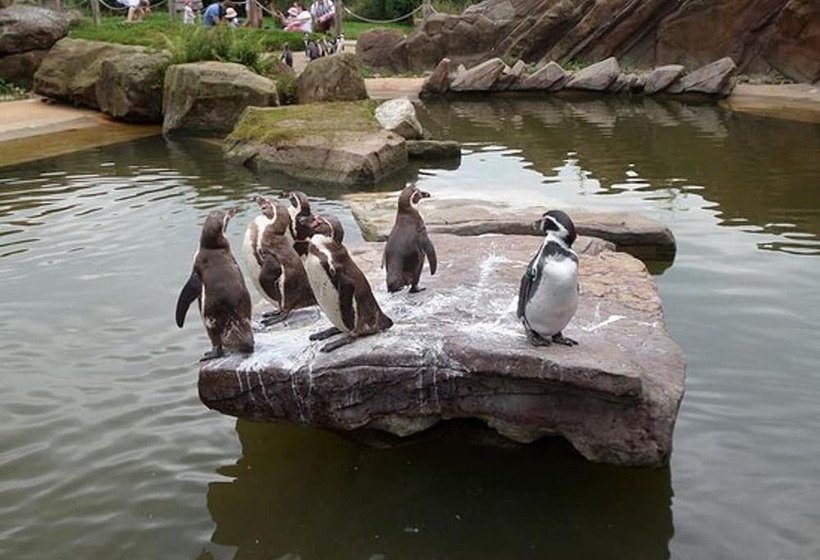 Сельский отель 2 Bed Barn Alton Towers Chatsworth Polars Peaks