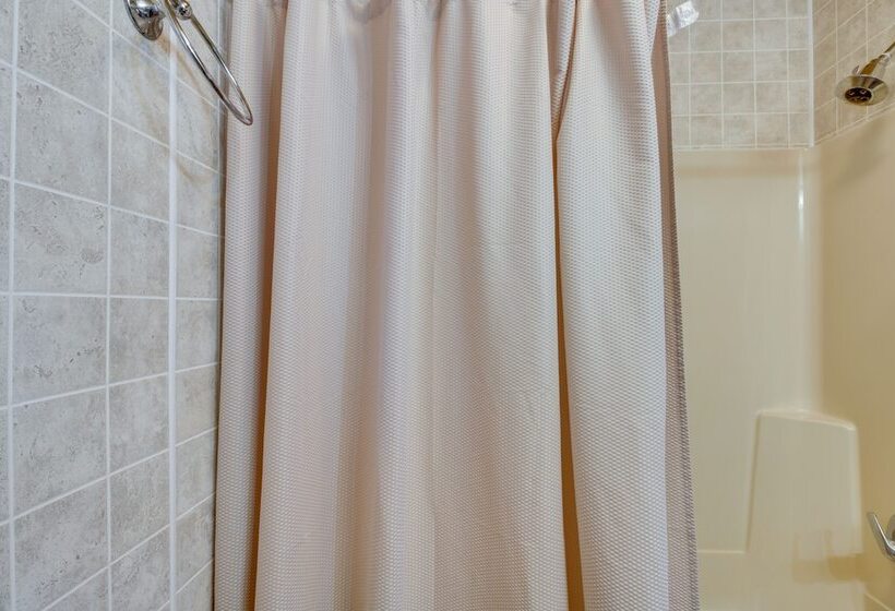 Shared Dock: Dog Friendly Retreat In Park Rapids!