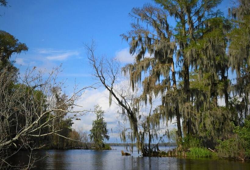 Peaceful Morgan City Home W/ Docks & Canal Access