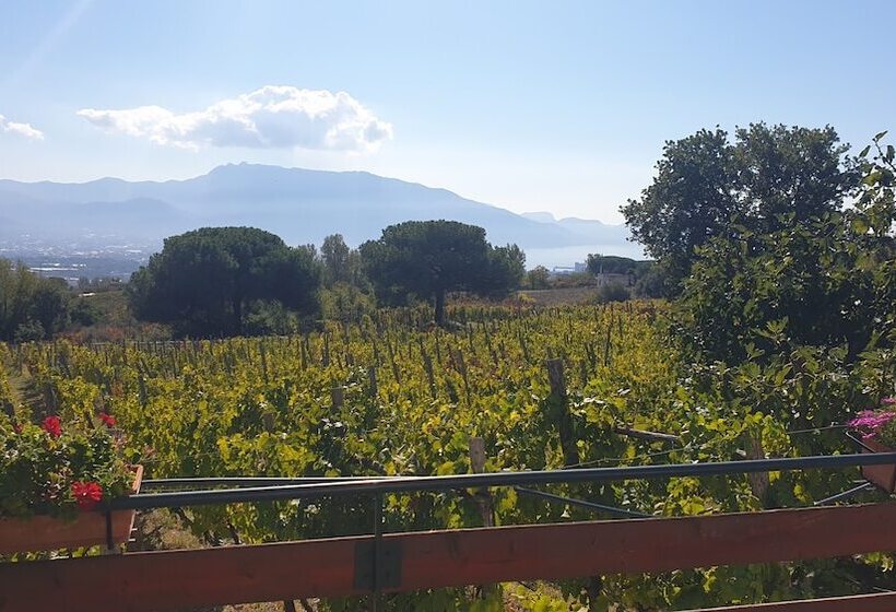 פנסיון Room In Apartment   Beb Apartment Pompeii Rendine