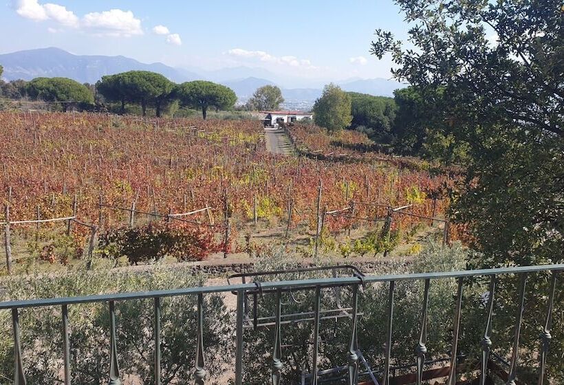 פנסיון Room In Apartment   Beb Apartment Pompeii Rendine