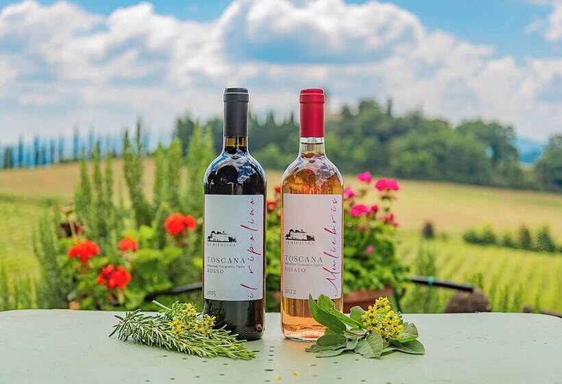 Отель Agriturismo La Ripolina