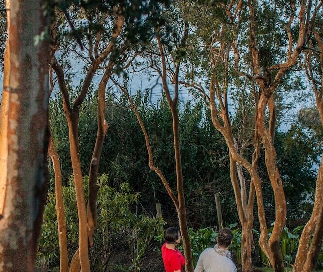 בית מלון כפרי Elun