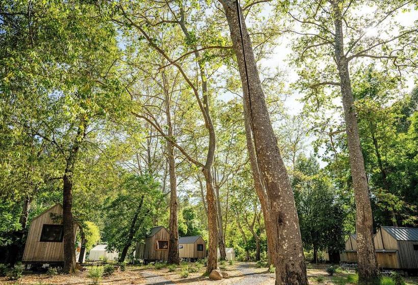 호텔 Johnson S Beach Cabins And Campground