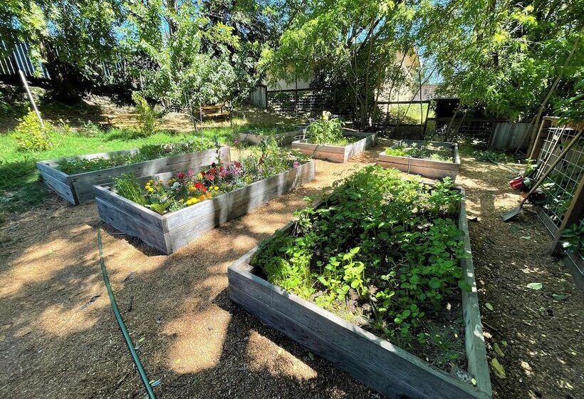 호텔 Johnson S Beach Cabins And Campground