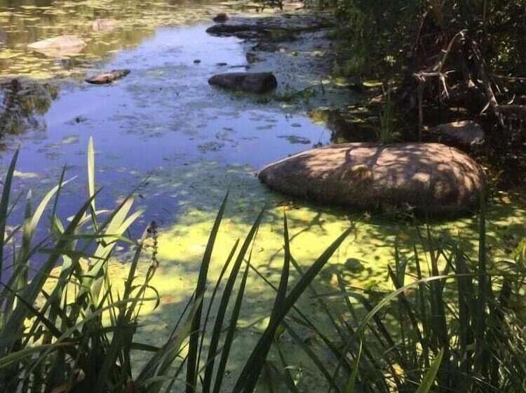 호텔 Ternélia Henri Iv