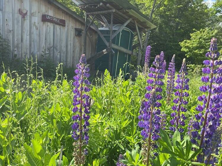 فندق ريفى Streeter Mountain Farm