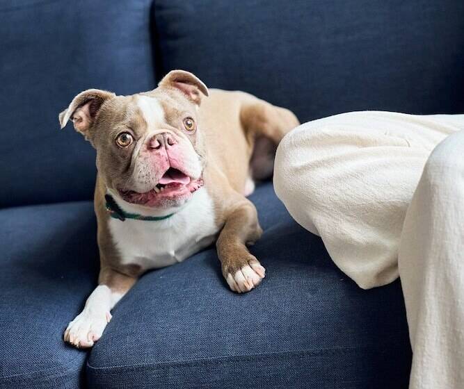 호텔 Rusk House Serviced Apartments