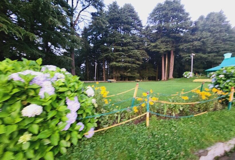 ホテル Smart Hill Kalatop