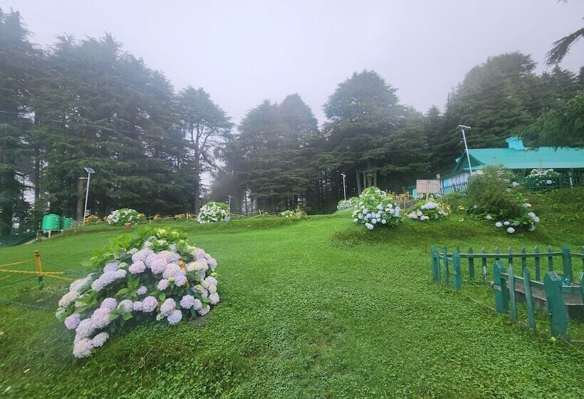 ホテル Smart Hill Kalatop