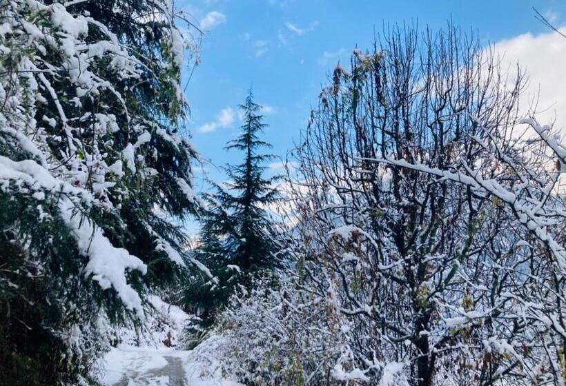 فندق Snow Crest Residency