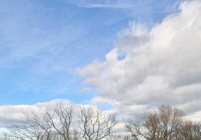 בית מלון כפרי The Whitehouse Peterlee