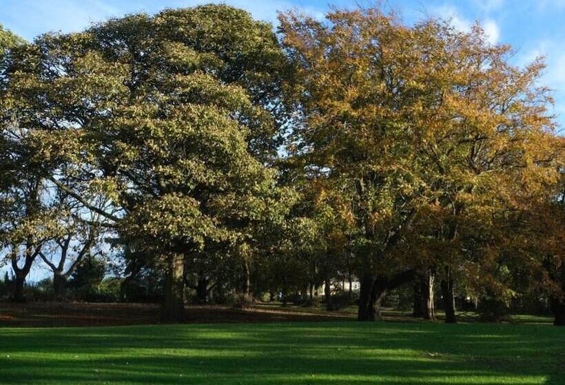 בית מלון כפרי The Whitehouse Peterlee