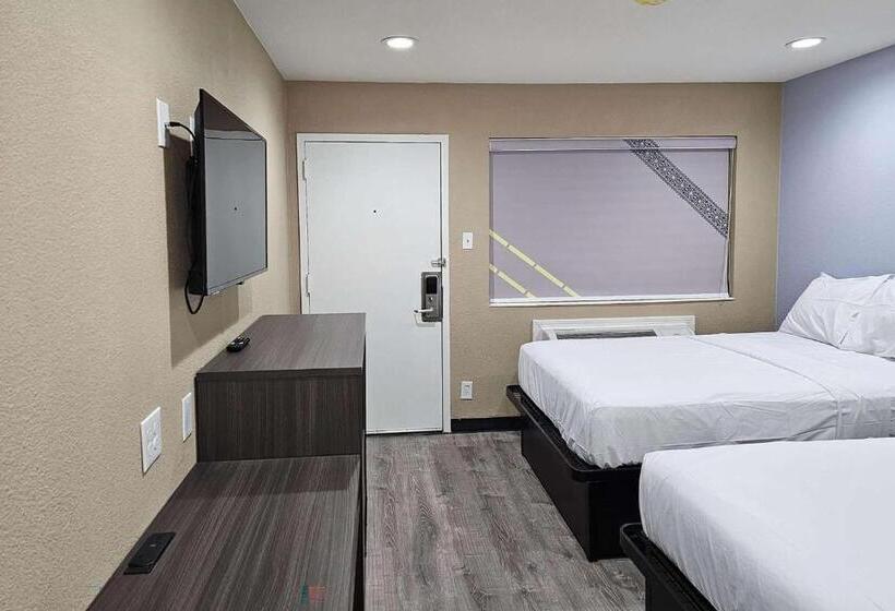 汽车旅馆  Super 8 By Wyndham Big Spring