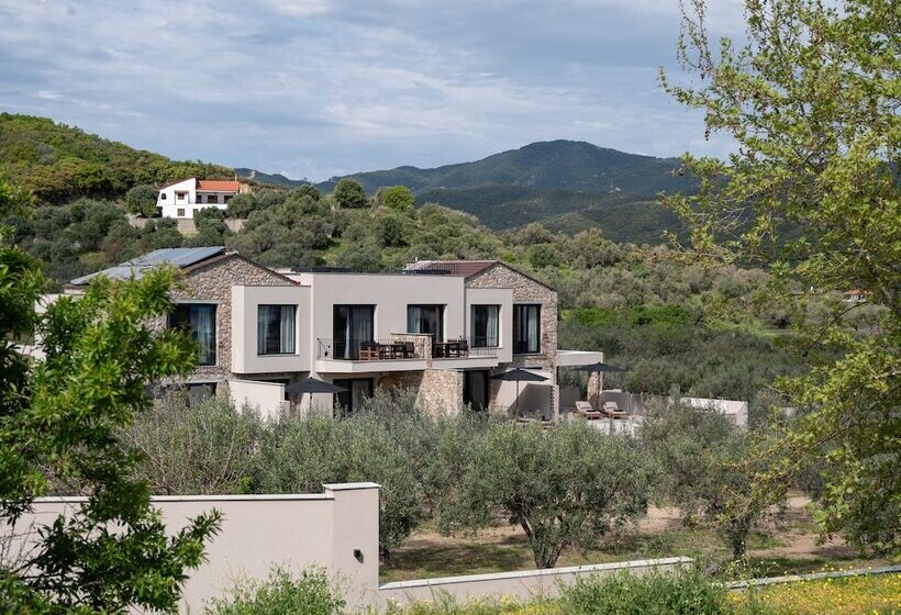 Olivera Suites Sarti