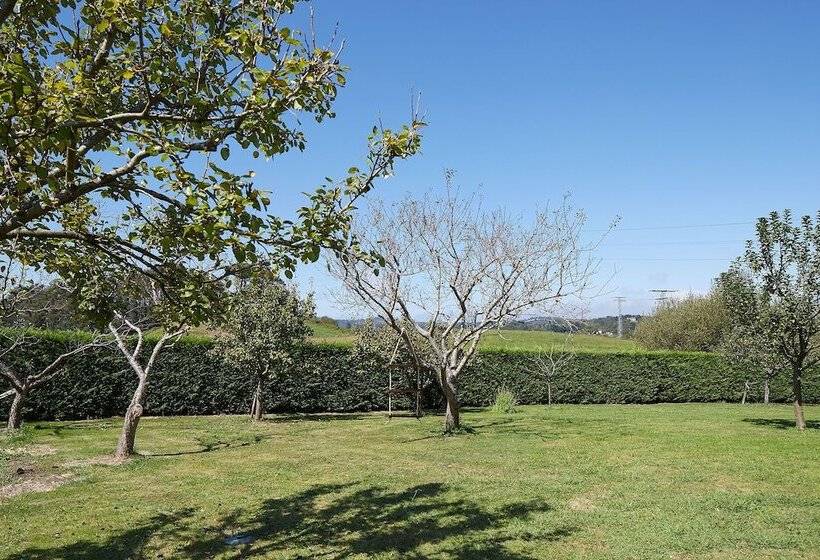 פנסיון Casa Rural La Palmera   Landetxea