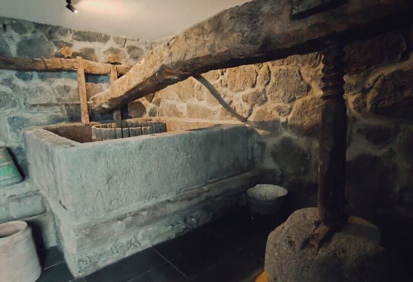 پانسیون Quinta Dos Mistérios