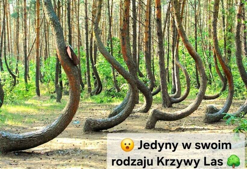 Rentumi Hostel Gryfino Noclegi Pokoje