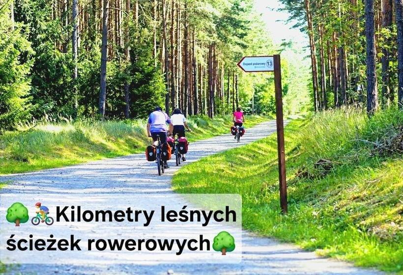 Rentumi Hostel Gryfino Noclegi Pokoje