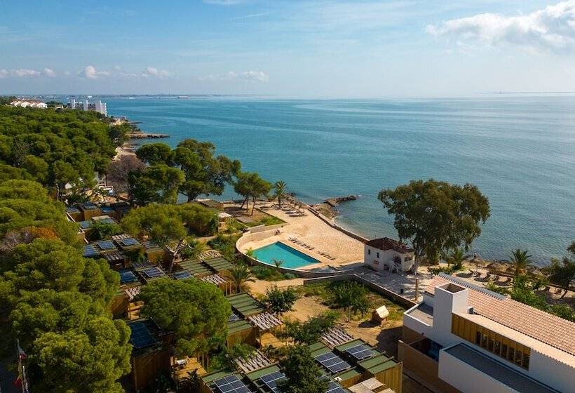 渡假胜地 Alfacs Village