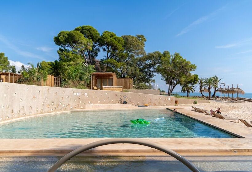 渡假胜地 Alfacs Village