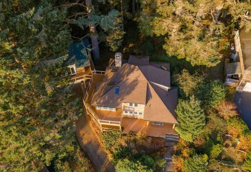Seagrove By Avantstay Treetop Haven W/ Coastal Views