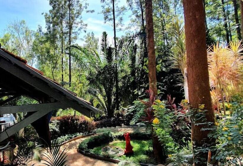 The Spectrum Resort