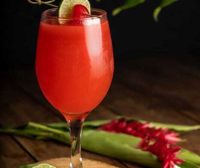 Eco Hotel Verano Azul