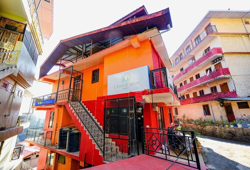 Fabhotel Ginger Grass