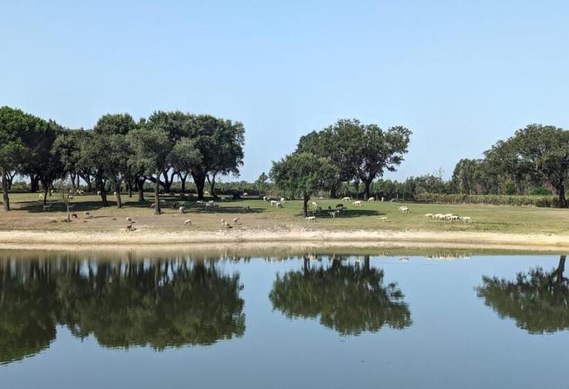 بنسيون Monte Do Lago, Pegões