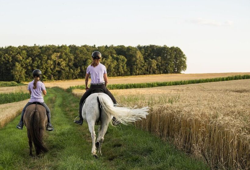 Курорт Reiters Supreme