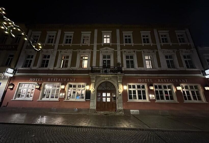 فندق Sachsenhof Riesa