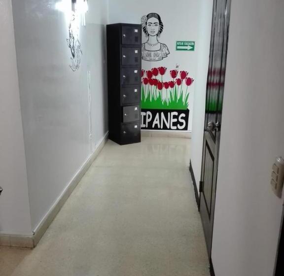 호스텔 Hostal Loco Coco Loco